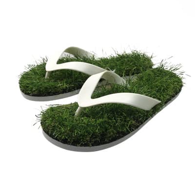 sanuk grass flip flops